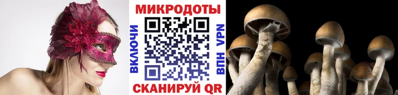 Галлюциногенные грибы прущие грибы  Ветлуга 